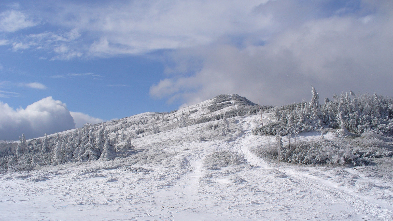 4 TIPS TO COMBAT WINTER DRYNESS